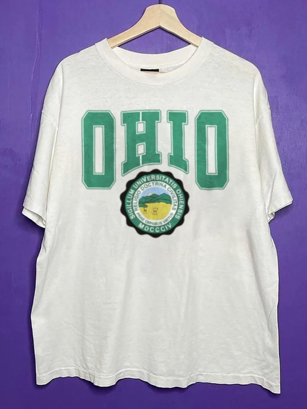 Vintage 90s Ohio Bobcats Football Crewneck Shirt, Ohio University Style Shirt